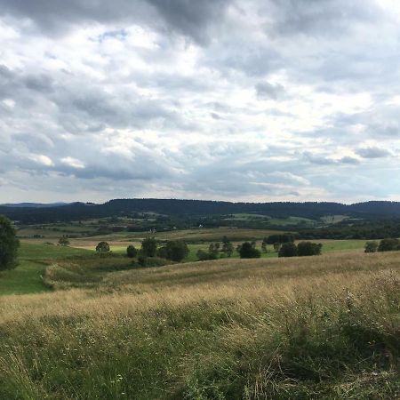 Pokoje U Bozeny I Zbyszka Lipie  Exterior foto