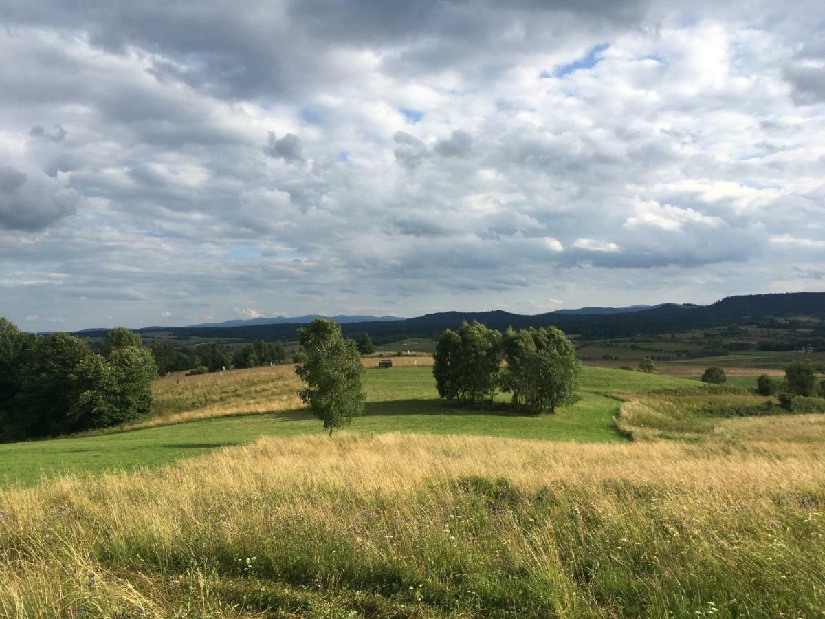 Pokoje U Bozeny I Zbyszka Lipie  Exterior foto